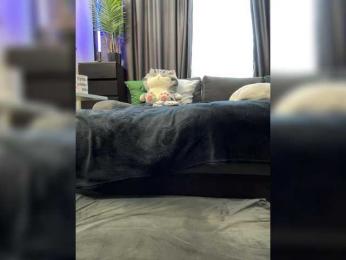 MagicMelody bongacams stream image