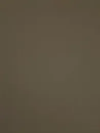 alicee16 stripchat stream image