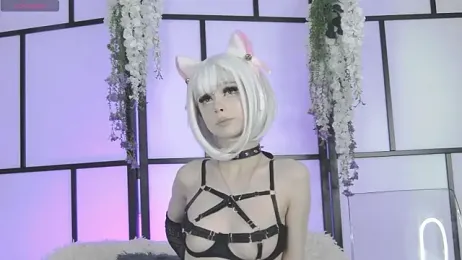 Xenomy stripchat stream image