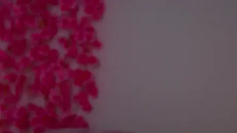 KarinBates stripchat stream image