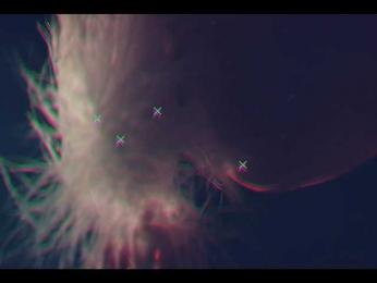 Taanni bongacams stream image