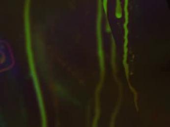 heybanan chaturbate stream image