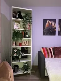 KatyEvanss stripchat stream image