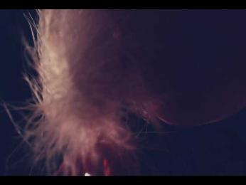 Taanni bongacams stream image