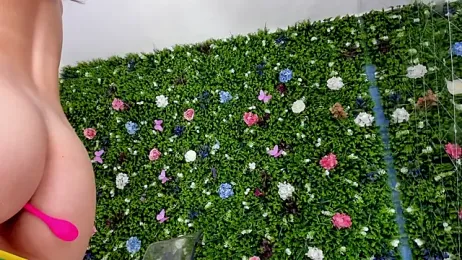 BabyAylin stripchat stream image