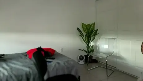 Sapphir3xoxo stripchat stream image