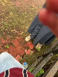 Miss__Malaika stripchat stream image