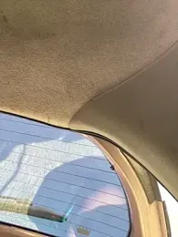 MerlinDave stripchat stream image