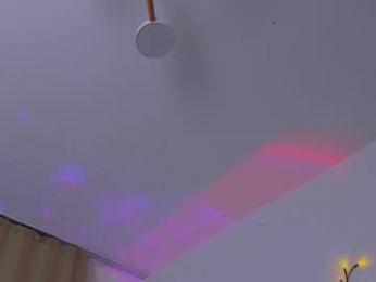 ladytrep chaturbate stream image