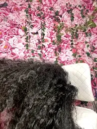 mismialove stripchat stream image