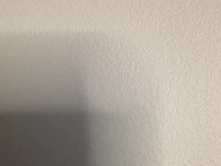 t1ger camsoda stream image