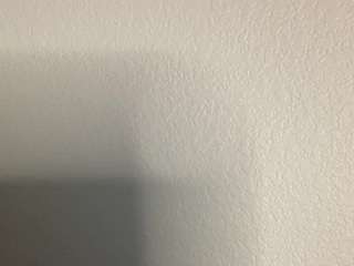 t1ger camsoda stream image