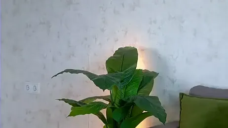 AshleyD_ stripchat stream image