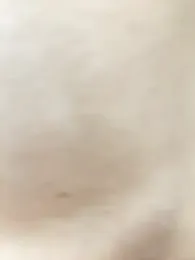 alana15 stripchat stream image