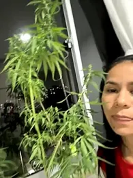 dominantandsubmissiveshow stripchat stream image