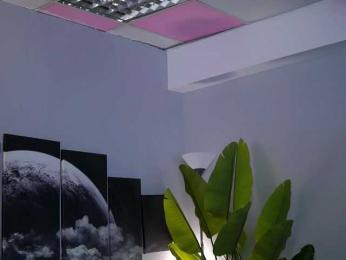 RaquelleVon bongacams stream image