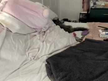 eve003300 chaturbate stream image