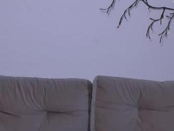 ladytrep chaturbate stream image