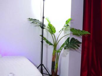 NatyDesiree bongacams stream image