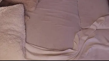 nadia_bliss stripchat stream image