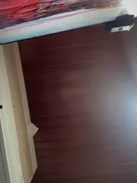 Sofia_Collins- stripchat stream image