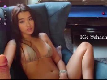 shachatte chaturbate stream image