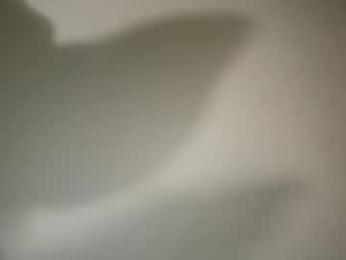 _natycutei19 chaturbate stream image