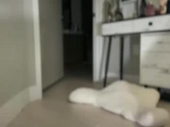 _natycutei19 chaturbate stream image