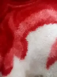 Janhvi- stripchat stream image