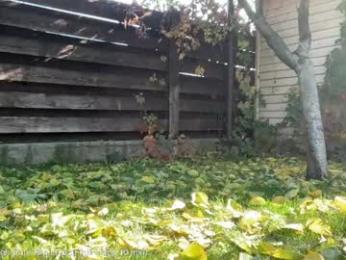 patry333 chaturbate stream image