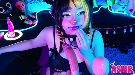 LaytonBox stripchat stream image