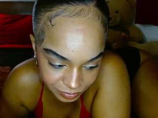 giatailor camsoda stream image