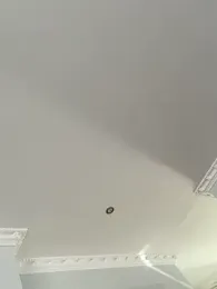 curvyflawless stripchat stream image