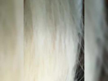 -Riviera- bongacams stream image