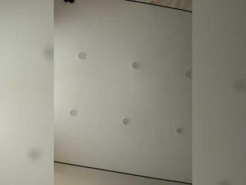 NorbertKlopp bongacams stream image