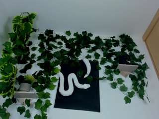 nataliepeterson camsoda stream image