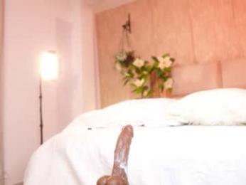 ana_maria11 chaturbate stream image