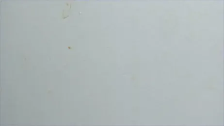 lisa2018 stripchat stream image