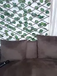 Bold-Cat stripchat stream image