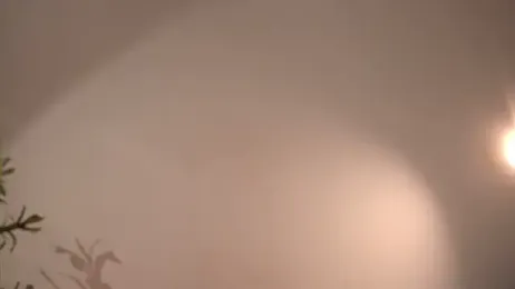 alittlestarrr stripchat stream image