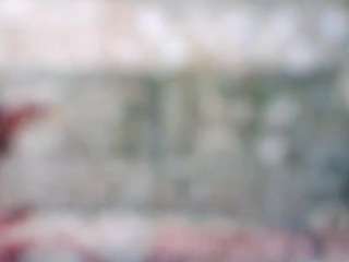 stalliontheesavage camsoda stream image