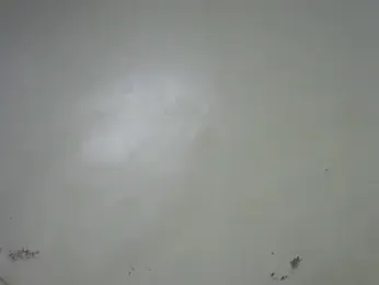 Rasta_tattooed stripchat stream image