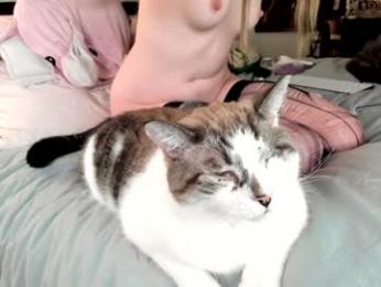 eve003300 chaturbate stream image