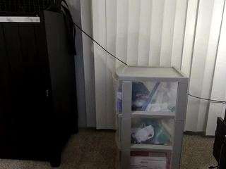 queenlolaxxx camsoda stream image