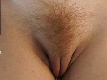 diffgirls1-1 bongacams stream image