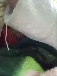 KattyLuuu stripchat stream image