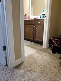 AmethystFoxx stripchat stream image