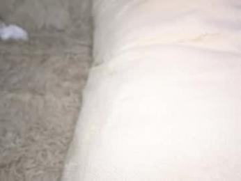 evafatcat chaturbate stream image