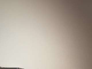 t1ger camsoda stream image