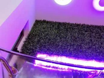 hotfallingdevil chaturbate stream image